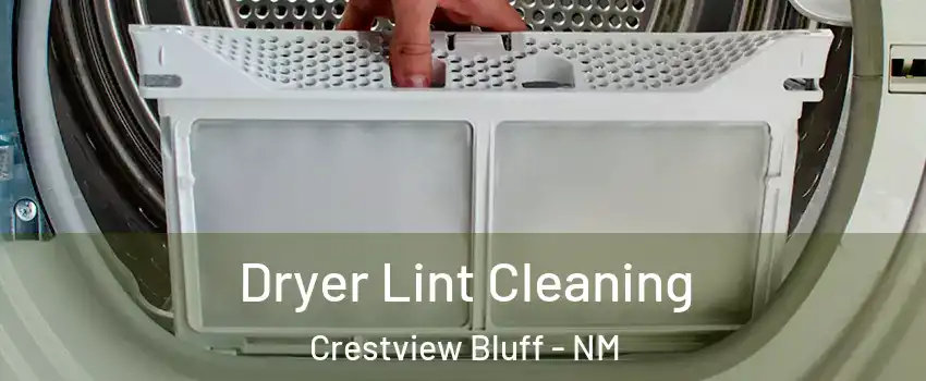 Dryer Lint Cleaning Crestview Bluff - NM