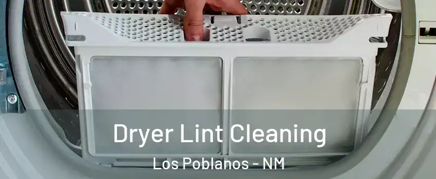 Dryer Lint Cleaning Los Poblanos - NM