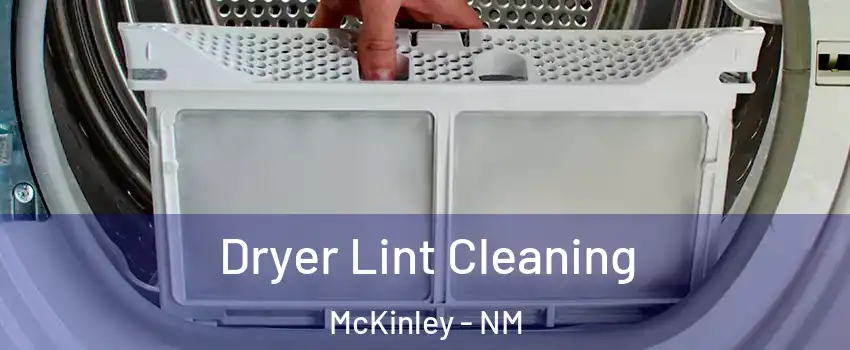 Dryer Lint Cleaning McKinley - NM