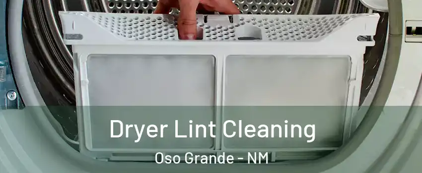 Dryer Lint Cleaning Oso Grande - NM