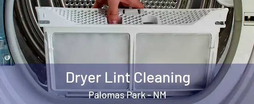 Dryer Lint Cleaning Palomas Park - NM