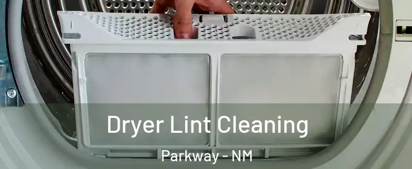 Dryer Lint Cleaning Parkway - NM