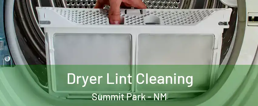 Dryer Lint Cleaning Summit Park - NM