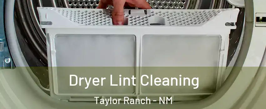 Dryer Lint Cleaning Taylor Ranch - NM