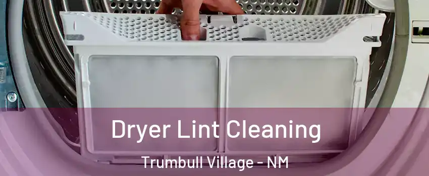 Dryer Lint Cleaning Trumbull Village - NM