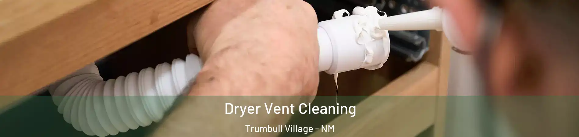 Dryer Vent Cleaning Trumbull Village - NM