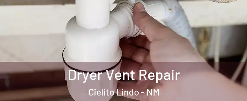 Dryer Vent Repair Cielito Lindo - NM