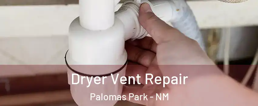 Dryer Vent Repair Palomas Park - NM