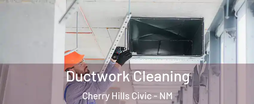 Ductwork Cleaning Cherry Hills Civic - NM