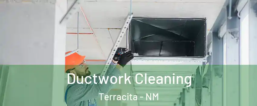 Ductwork Cleaning Terracita - NM