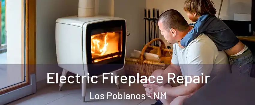 Electric Fireplace Repair Los Poblanos - NM