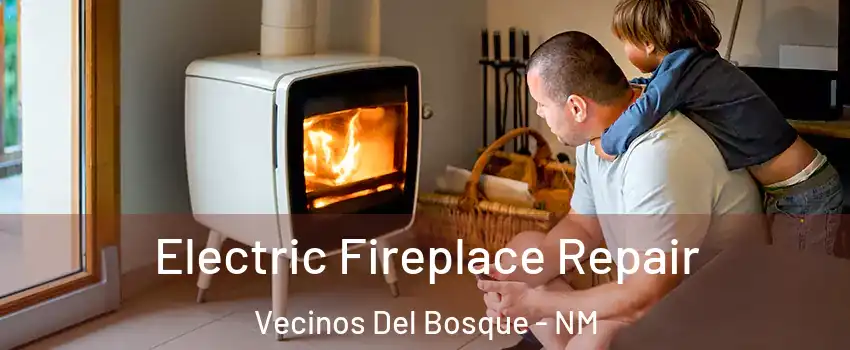 Electric Fireplace Repair Vecinos Del Bosque - NM