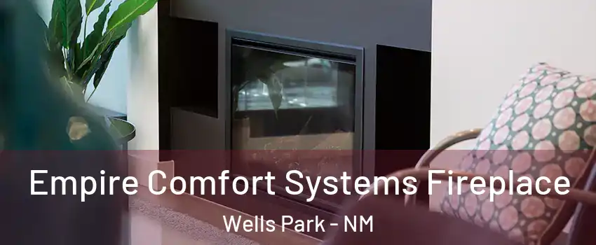 Empire Comfort Systems Fireplace Wells Park - NM