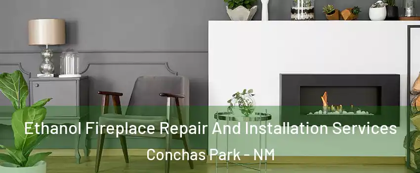 Ethanol Fireplace Repair And Installation Services Conchas Park - NM