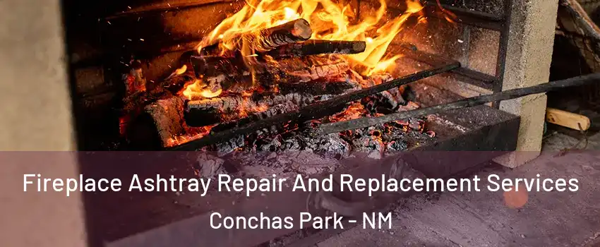 Fireplace Ashtray Repair And Replacement Services Conchas Park - NM