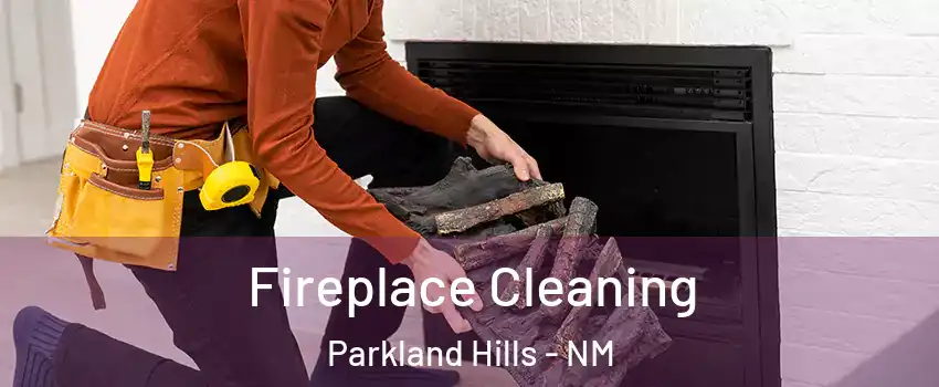 Fireplace Cleaning Parkland Hills - NM