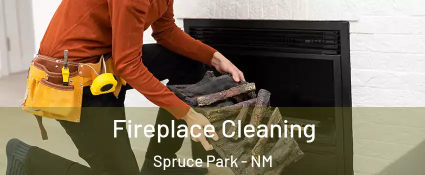 Fireplace Cleaning Spruce Park - NM