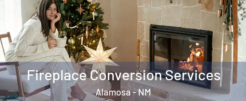 Fireplace Conversion Services Alamosa - NM