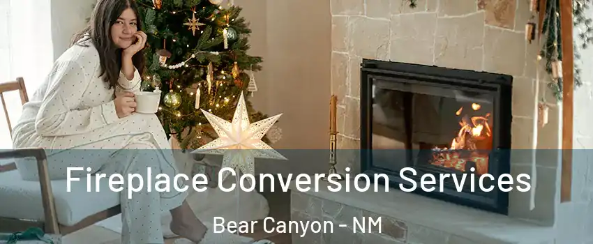 Fireplace Conversion Services Bear Canyon - NM