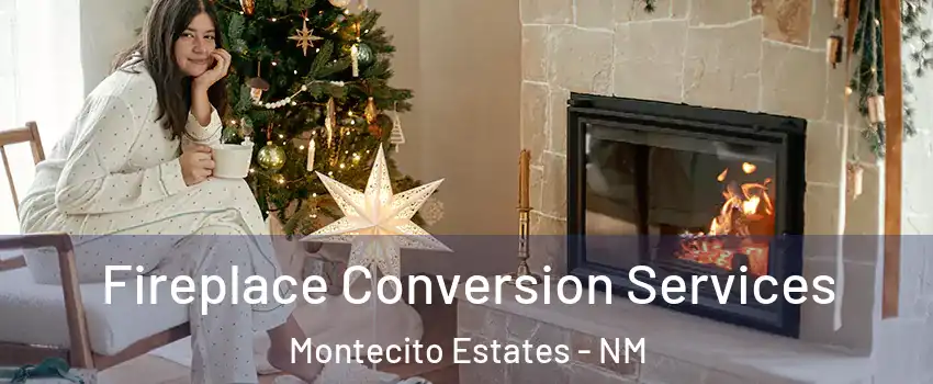 Fireplace Conversion Services Montecito Estates - NM