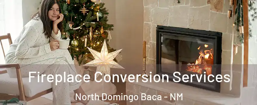 Fireplace Conversion Services North Domingo Baca - NM