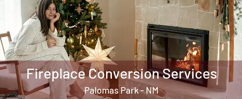 Fireplace Conversion Services Palomas Park - NM