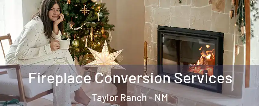 Fireplace Conversion Services Taylor Ranch - NM