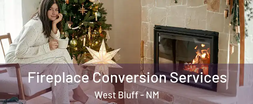 Fireplace Conversion Services West Bluff - NM