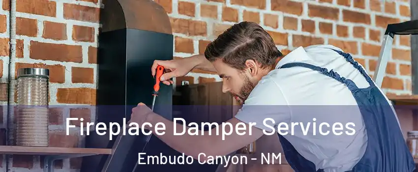 Fireplace Damper Services Embudo Canyon - NM