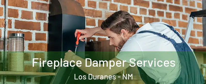 Fireplace Damper Services Los Duranes - NM