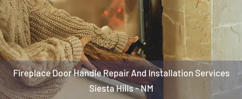 Fireplace Door Handle Repair And Installation Services Siesta Hills - NM