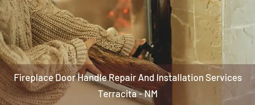 Fireplace Door Handle Repair And Installation Services Terracita - NM