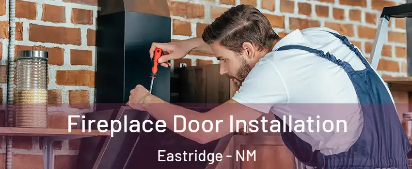 Fireplace Door Installation Eastridge - NM