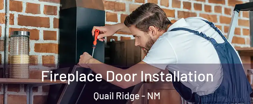 Fireplace Door Installation Quail Ridge - NM