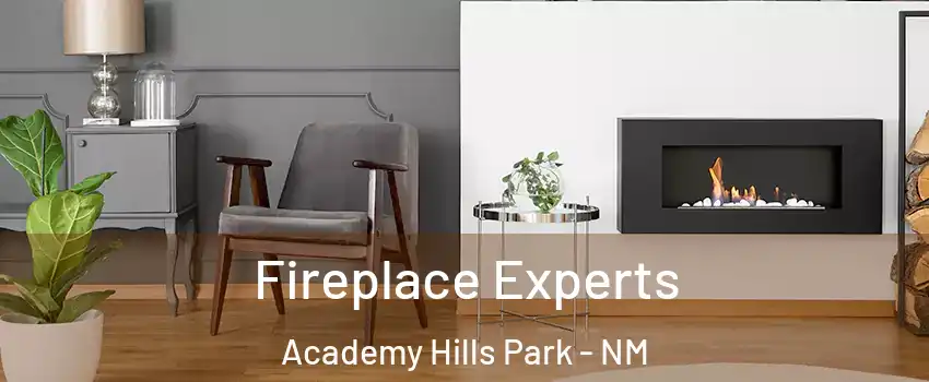 Fireplace Experts Academy Hills Park - NM