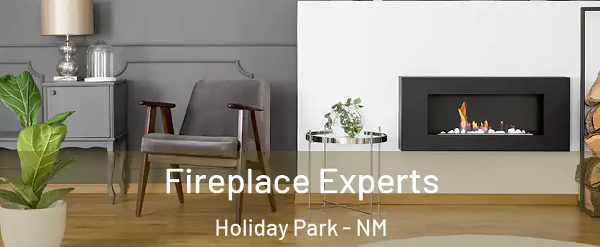 Fireplace Experts Holiday Park - NM