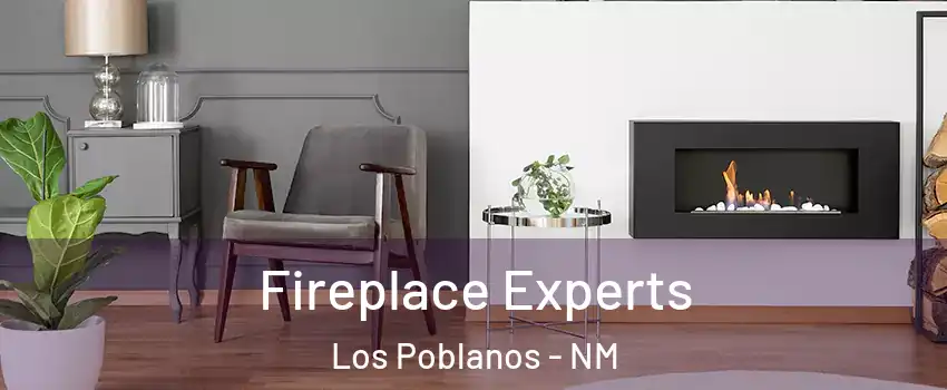 Fireplace Experts Los Poblanos - NM