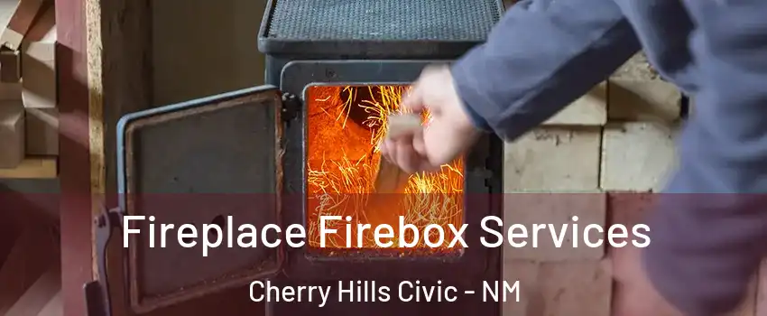 Fireplace Firebox Services Cherry Hills Civic - NM