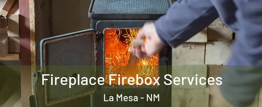 Fireplace Firebox Services La Mesa - NM