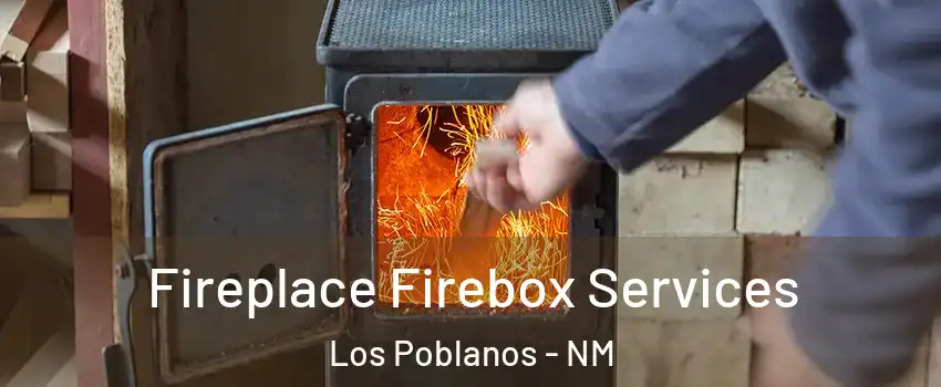 Fireplace Firebox Services Los Poblanos - NM