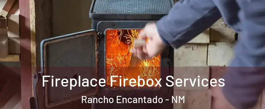 Fireplace Firebox Services Rancho Encantado - NM