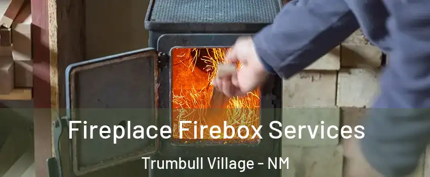 Fireplace Firebox Services Trumbull Village - NM