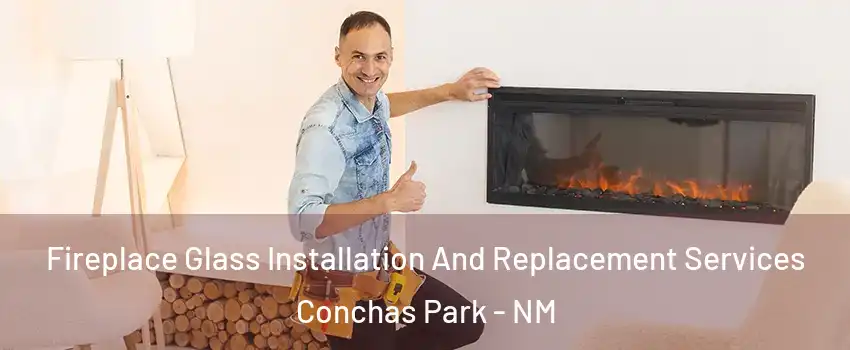 Fireplace Glass Installation And Replacement Services Conchas Park - NM