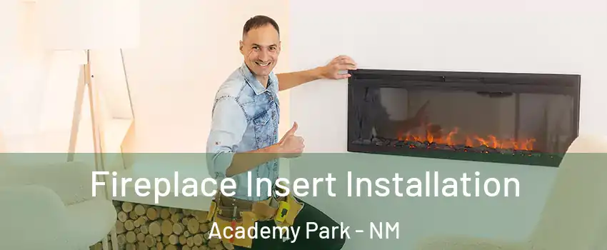 Fireplace Insert Installation Academy Park - NM