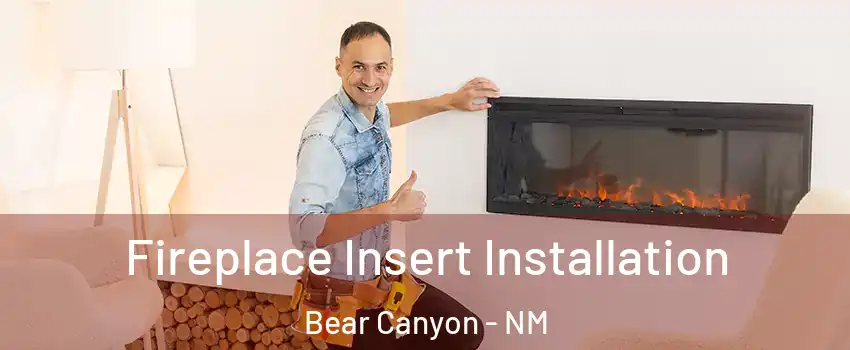 Fireplace Insert Installation Bear Canyon - NM