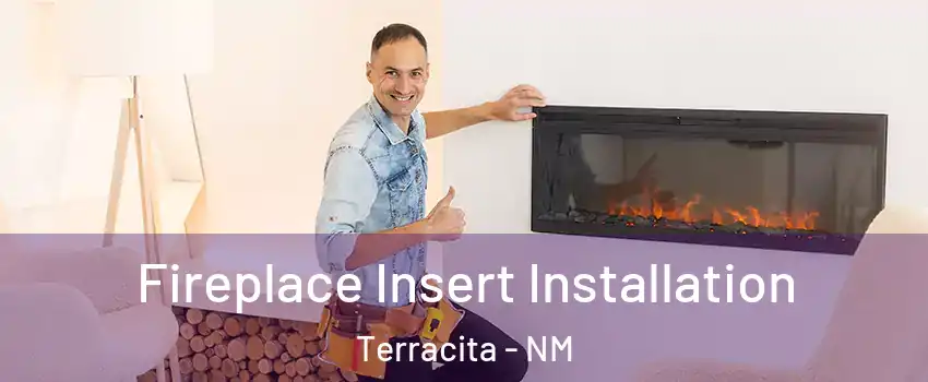 Fireplace Insert Installation Terracita - NM