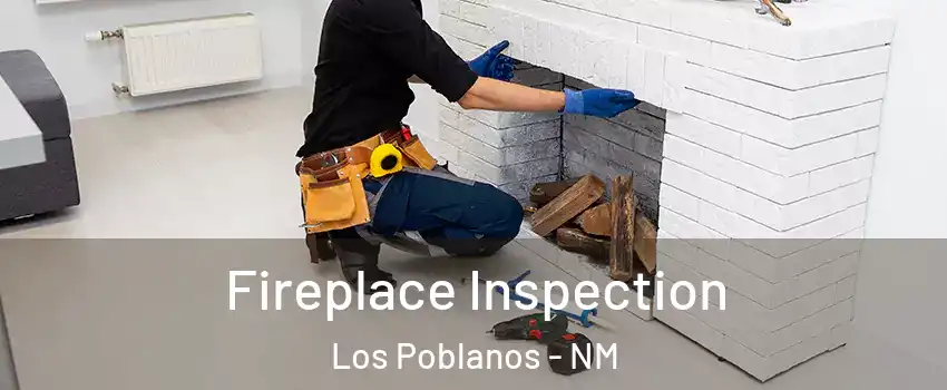 Fireplace Inspection Los Poblanos - NM