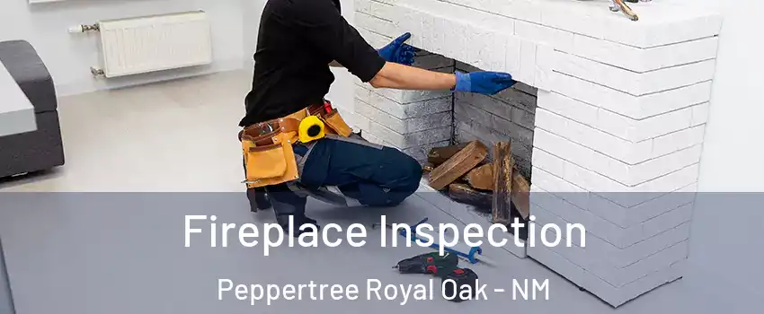 Fireplace Inspection Peppertree Royal Oak - NM