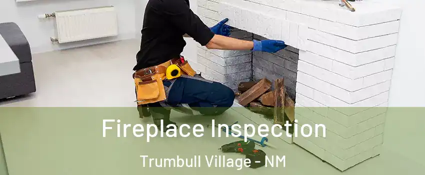 Fireplace Inspection Trumbull Village - NM