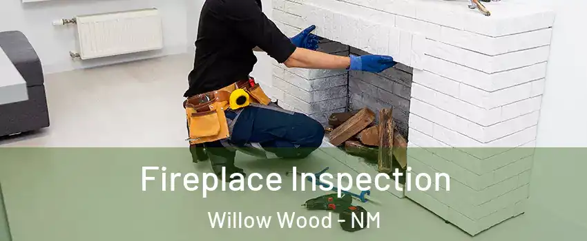 Fireplace Inspection Willow Wood - NM